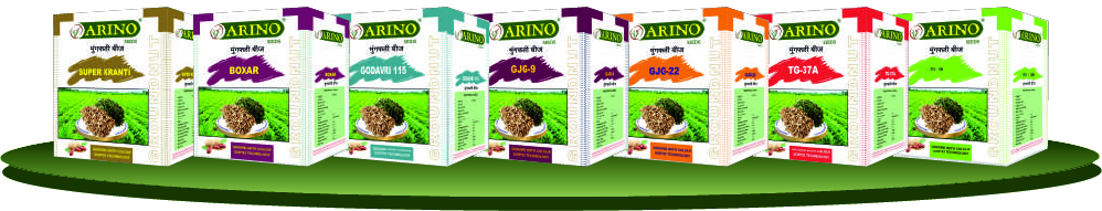 Seed Production Step 2