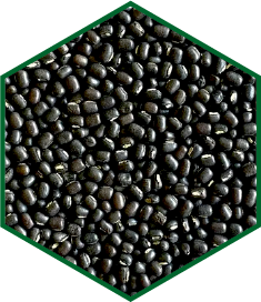 URAD